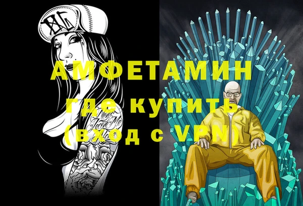 молекула духа Богданович
