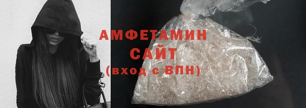 молекула духа Богданович
