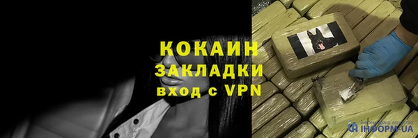 молекула духа Богданович