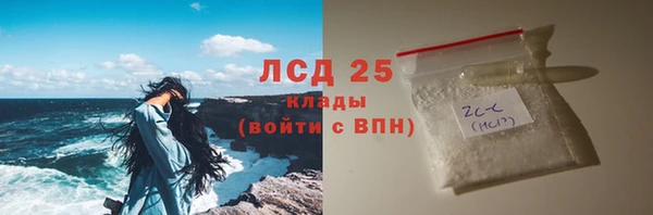 молекула духа Богданович