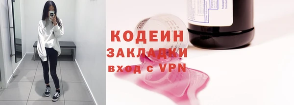 молекула духа Богданович