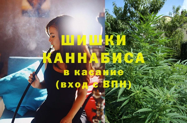 молекула духа Богданович