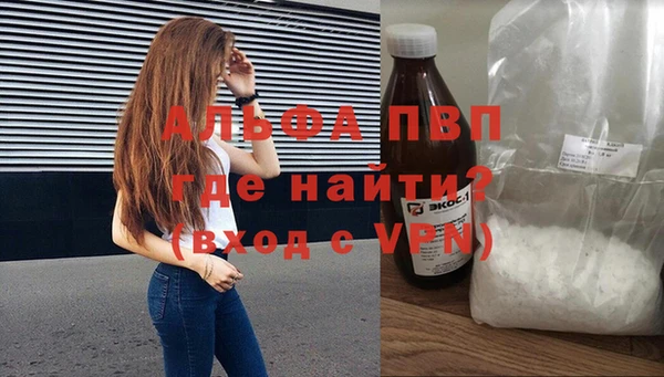молекула духа Богданович