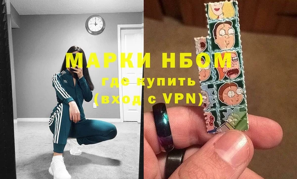 молекула духа Богданович