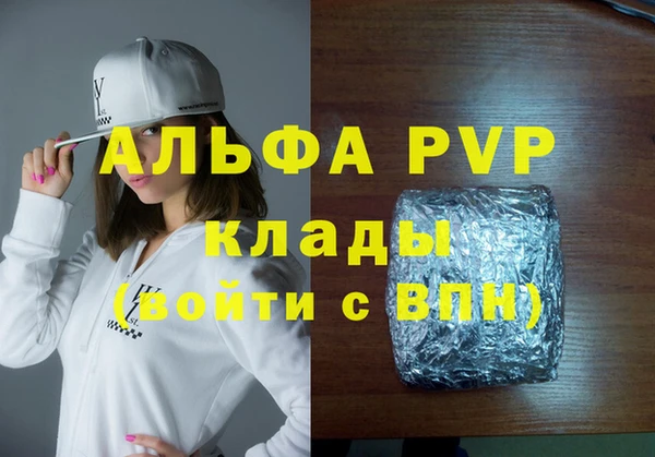молекула духа Богданович