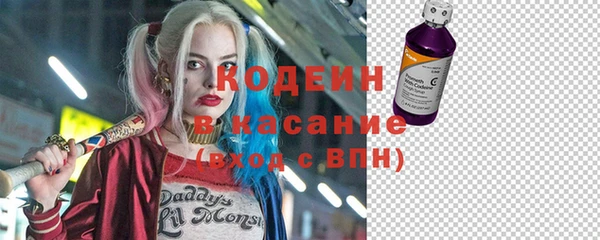 молекула духа Богданович