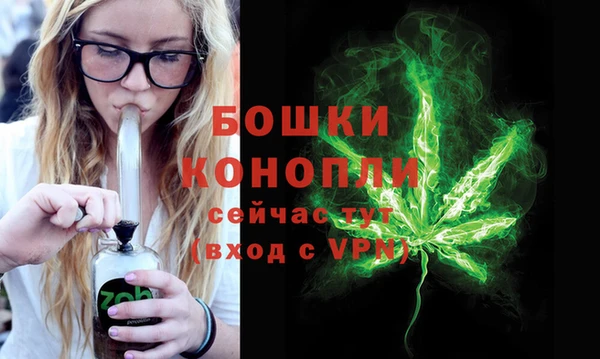 молекула духа Богданович