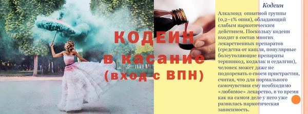 молекула духа Богданович